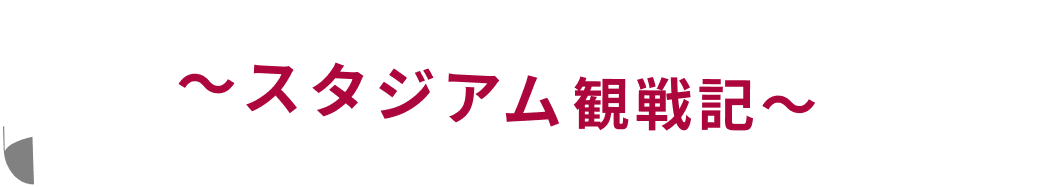 スタジアム観戦記
